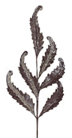 sunshineindustries - Dark Grey Acanthus Leaf Spray