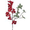 Red Berry Branch with Leaves