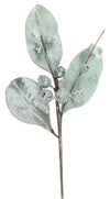 Aqua Magnolia Leaf & Berry Spray